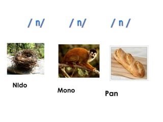 NIdo
       Mono
              Pan
 