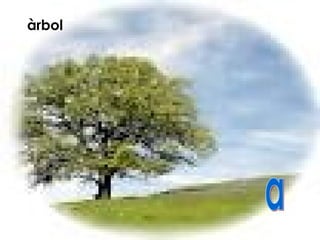 àrbol
 