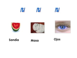 Sandìa   Masa   Ojos
 