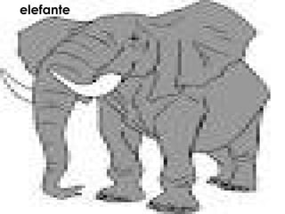 elefante
 