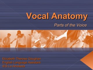 Vocal Anatomy Parts of the Voice Elizabeth Therese Gaughan English Language Assistant IES La Arboleda 