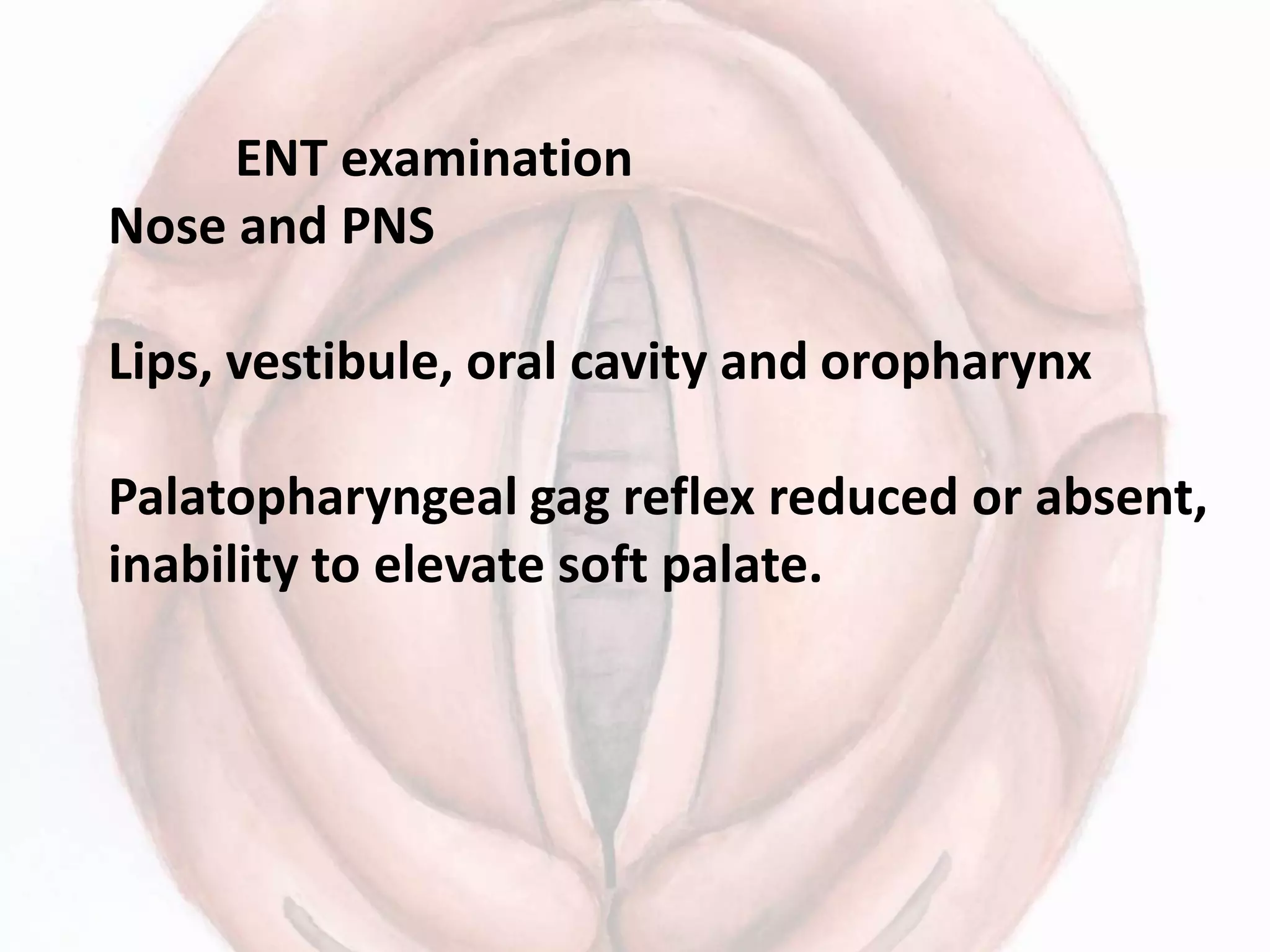 ENT examination
Nose and PNS
Lips, vestibule, oral cavity and oropharynx
Palatopharyngeal gag reflex reduced or absent,
inability to elevate soft palate.
 