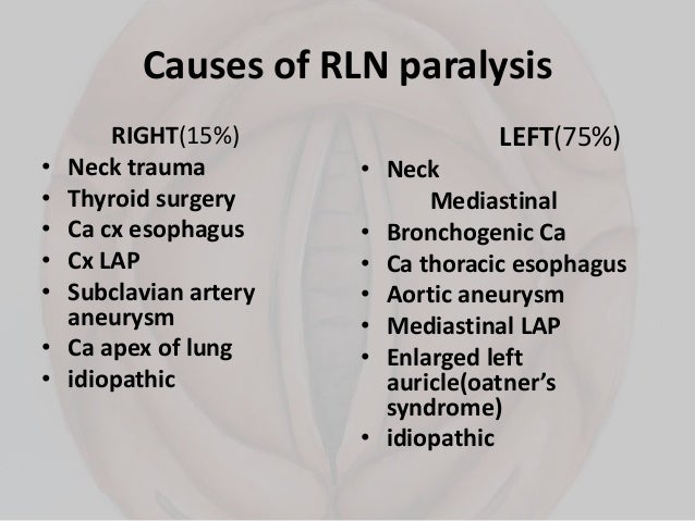 Congenital Disorders Of The Larynx Ppt Video Online Download