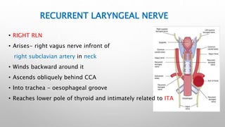 Vocal cord paralysis | PPTX