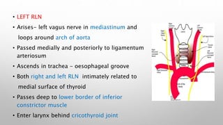 Left Rln Path Vocal cord paralysis | PPTX