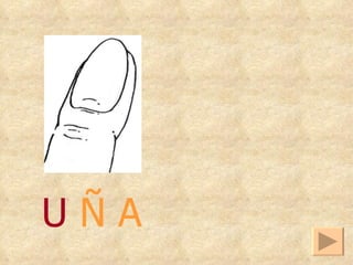 U  Ñ A 
