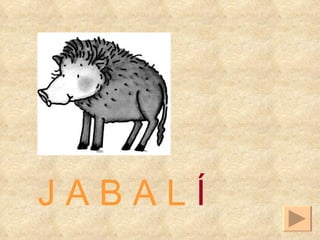 J A B A L  Í 