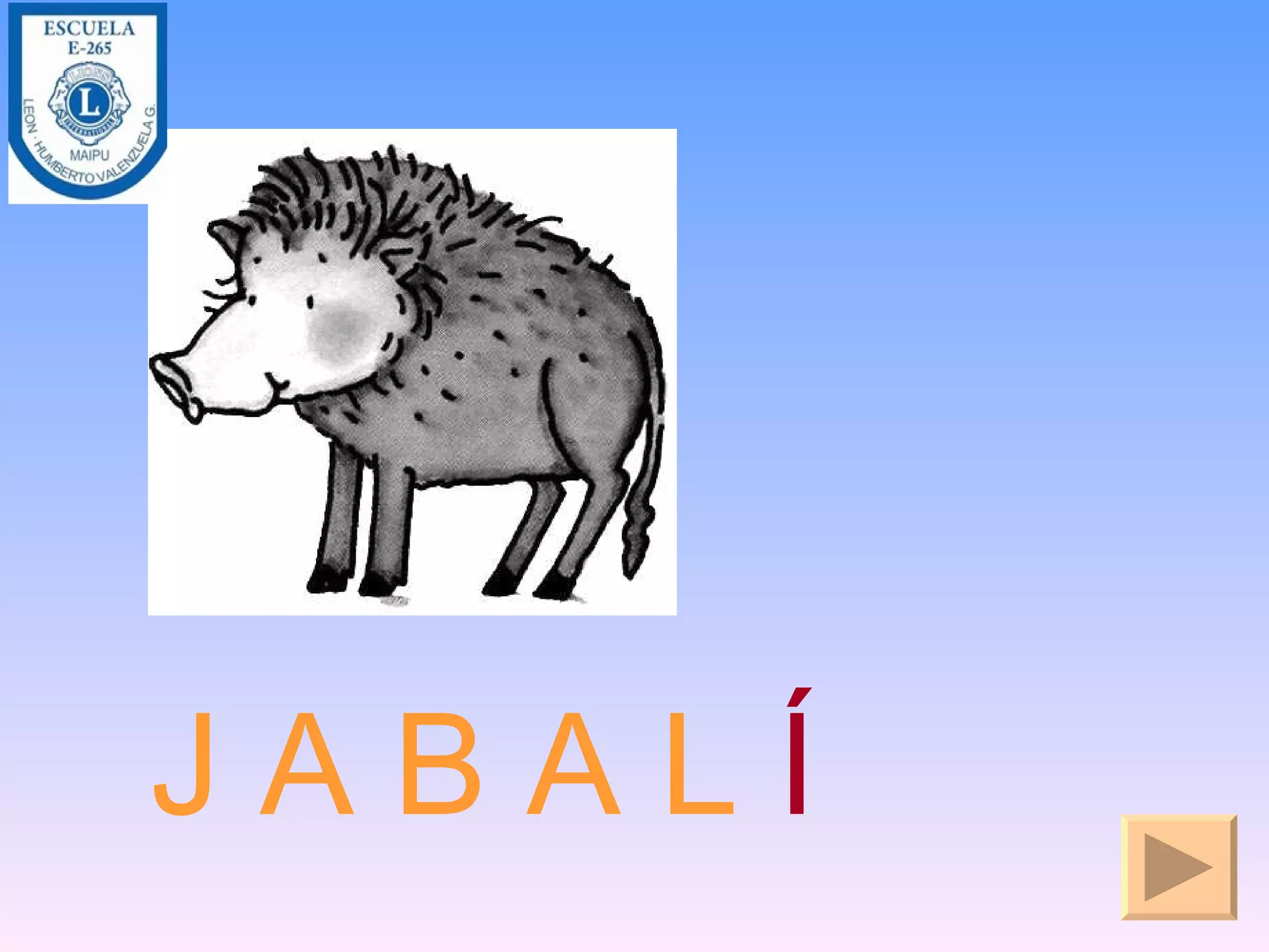 J A B A L Í