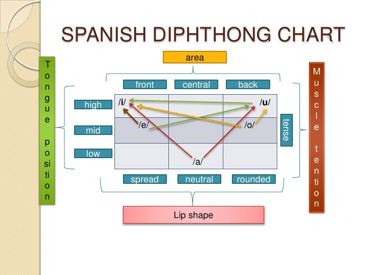 Diagram Chart In Spanish Image collections - How To Guide 