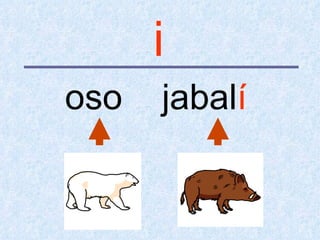 i
oso   jabalí
 