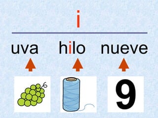 i
uva   hilo nueve
 