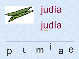 judía
       judía
        _


p   u m i a e
 