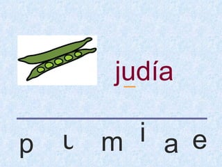 judía
        _


p   u m i a e
 