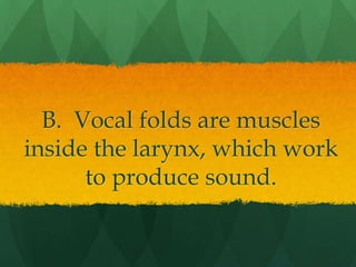 B. Vocal folds are muscles inside the larynx, which work to produce sound.
