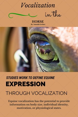 Vocalization
HORSE
in the
EXPRESSION
THROUGH VOCALIZATION
STUDIES WORK TO DEFINE EQUINE
Equine vocalization has the potential to provide
information on body size, individual identity,
motivation, or physiological states.
By: Amanda Greiner
 