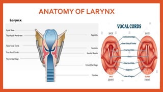 ANATOMY OF LARYNX
 