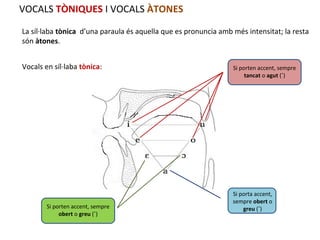 VOCALS TÒNIQUES I VOCALS ÀTONES
La síl·laba tònica d’una paraula és aquella que es pronuncia amb més intensitat; la resta
són àtones.
Vocals en síl·laba tònica:

Si porten accent, sempre
obert o greu (`)

Si porten accent, sempre
tancat o agut (´)

Si porta accent,
sempre obert o
greu (`)

 