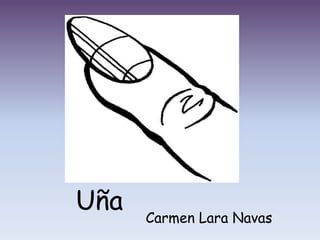 Uña   Carmen Lara Navas
 
