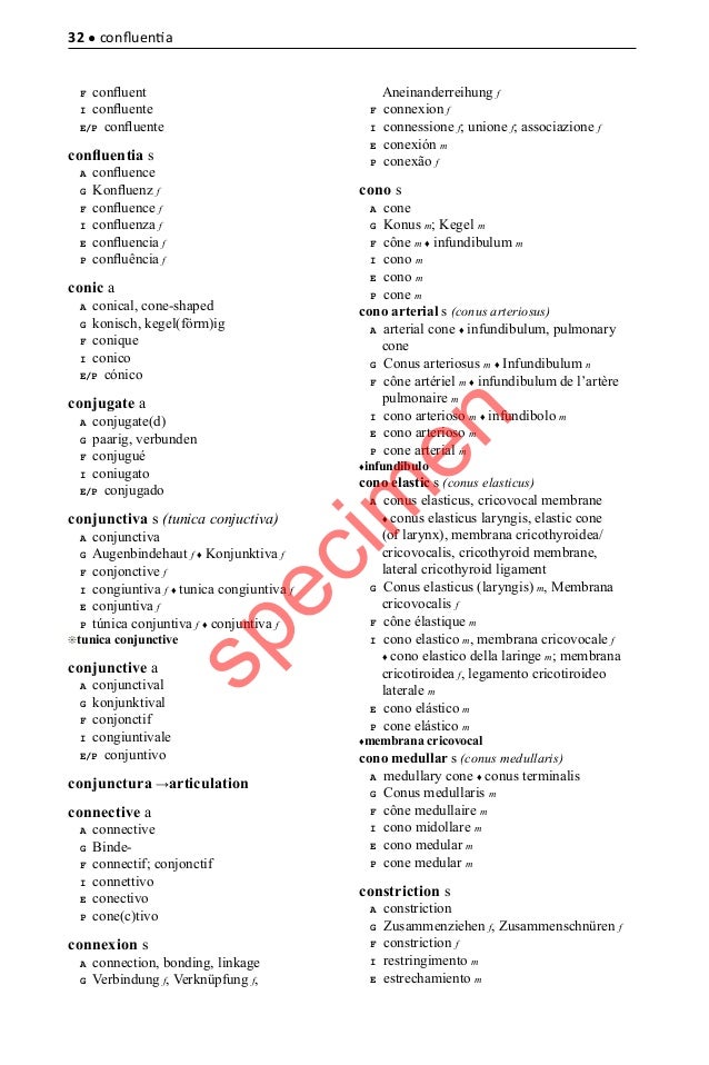 Anatomical Terminology