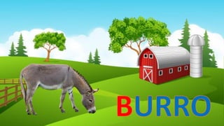 Voc animales granja avanz