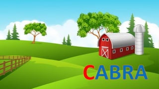 Voc animales granja avanz