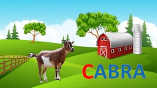 Voc animales granja avanz