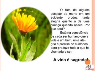 O fato de alguém
escapar da morte em um
acidente     produz    tanta
alegria quanto a de uma
criança quando nasce. Por
que será?
       Está na consciência
de cada ser humano que a
vida é um bem, uma ale-
gria e precisa de cuidados
para produzir tudo a que foi
chamada a ser.

 A vida é sagrada!
 