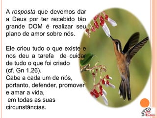 A resposta que devemos dar
a Deus por ter recebido tão
grande DOM é realizar seu
plano de amor sobre nós.

Ele criou tudo o que existe e
nos deu a tarefa de cuidar
de tudo o que foi criado
(cf. Gn 1,26).
Cabe a cada um de nós,
portanto, defender, promover
e amar a vida,
 em todas as suas
circunstâncias.
 