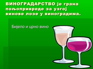 ВИНОГРАДАРСТВО је грана
пољопривреде за узгој
винове лозе у виноградима.
Бијело и црно вино

 