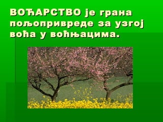 ВОЋАРСТВО је грана
пољопривреде за узгој
воћа у воћњацима.

 