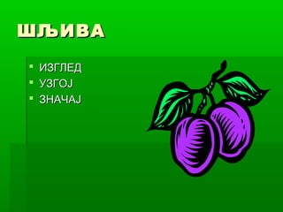 ШЉИВА




ИЗГЛЕД
УЗГОЈ
ЗНАЧАЈ

 
