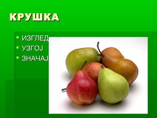 КРУШКА
 ИЗГЛЕД
 УЗГОЈ
 ЗНАЧАЈ

 