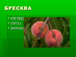 БРЕСКВА
 ИЗГЛЕД
 УЗГОЈ
 ЗНАЧАЈ

 