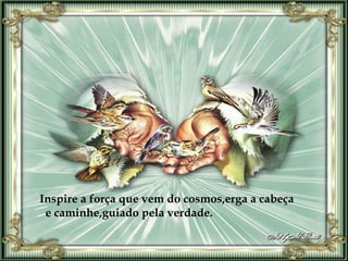 Inspire a força que vem do cosmos,erga a cabeça e caminhe,guiado pela verdade. 