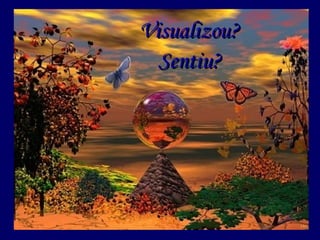 Visualizou? Sentiu? 