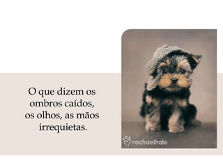 O que dizem os  ombros caídos,  os olhos, as mãos  irrequietas. 