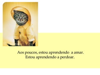 Aos poucos, estou aprendendo  a amar. Estou aprendendo a perdoar.  