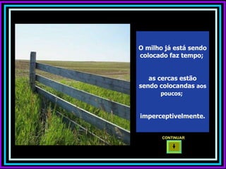 O milho já está sendo colocado faz tempo;  as cercas estão sendo colocandas  aos poucos;   imperceptivelmente. CONTINUAR  