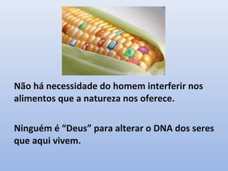 Não há necessidade do homem interferir nos
alimentos que a natureza nos oferece.
Ninguém é “Deus” para alterar o DNA dos seres
que aqui vivem.
 