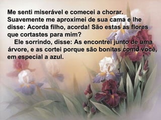 Me senti miserável e comecei a chorar. Suavemente me aproximei de sua cama e lhe disse: Acorda filho, acorda! São estas as flores que cortastes para mim? Ele sorrindo, disse: As encontrei junto de uma árvore, e as cortei porque são bonitas como você,  em especial a azul. 