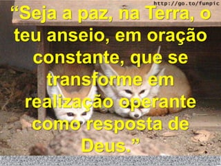 “Seja a paz, na Terra, o
teu anseio, em oração
  constante, que se
    transforme em
 realização operante
  como resposta de
        Deus.”
 