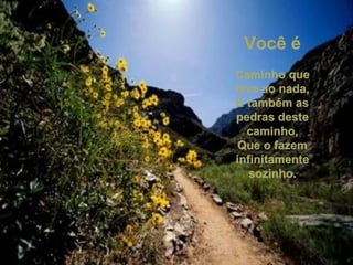 Você é Caminho que leva ao nada, E também as pedras deste caminho, Que o fazem infinitamente sozinho. 