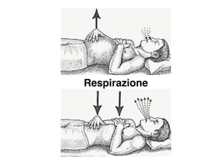 Respirazione
 