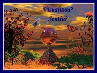 Visualizou? Sentiu? 