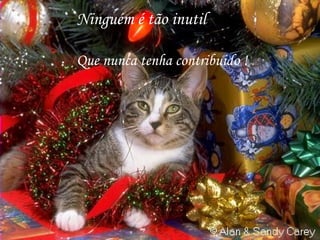 Ninguém é tão inutil

Que nunca tenha contribuido !
 