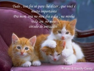 Tudo , isso foi só para lhe dizer , que você é
              muito importante
Pra mim, seja no meu dia a dia , na minha
              vida ,ou no meu
            circulo de amizades .
 