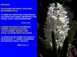 SEGUNDO:  COLOCADOS EM CRISTO, DEUS NOS  FEZ   MORRER N’ELE.  “ O AMOR DE CRISTO NOS CONSTRANGE, JULGANDO NÓS ASSIM: UM MORREU POR TODOS, LOGO, TODOS MORRERAM”  II Cor 5-14   A NOSSA NATUREZA PECAMINOSA,  TAMBÉM CHAMADA DE NOSSO  “ VELHO HOMEM” MORREU COM JESUS. AS ESCRITURAS DECLARAM:  “ O NOSSO VELHO HOMEM FOI COM ELE CRUCIFICADO” E “ASSIM, CONSIDERAI-VOS MORTOS PARA O  PECADO”  ROM. 6-6 e 11   