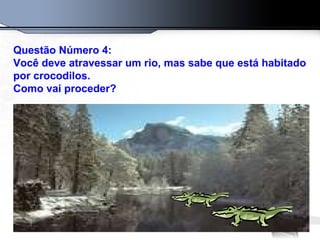 Questão Número 4: Você deve atravessar um rio, mas sabe que está habitado por crocodilos. Como vai proceder? 