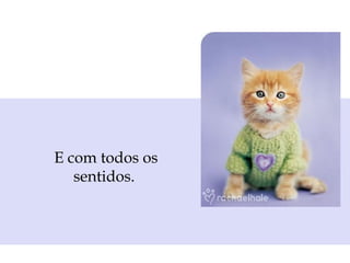 E com todos os
sentidos.
 