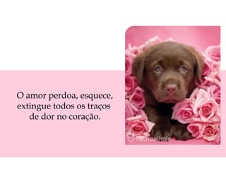 O amor perdoa, esquece,
extingue todos os traços
de dor no coração.
 